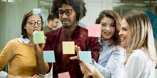 Service Transformation Leader Apprenticeship